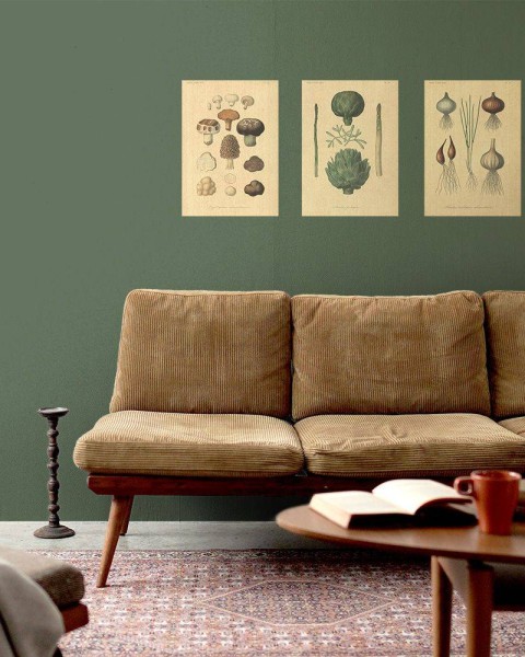 Flax Art Poster | Encyclopedia Vegetable A | FWP-AP-EN4A